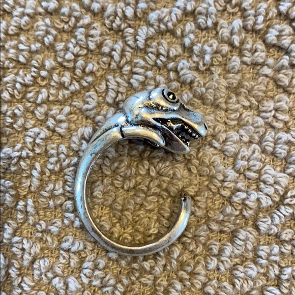Dinosaur ring - Picture 2 of 6